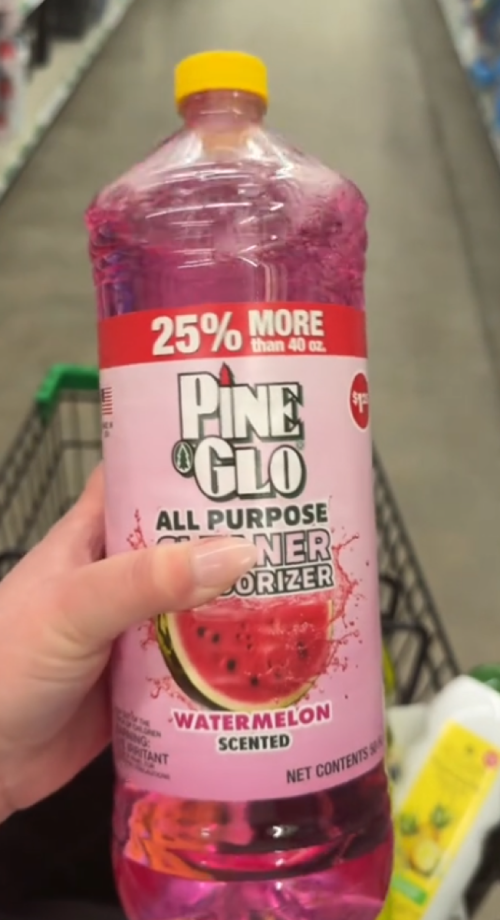 pine glo floor cleaner at dollar tree